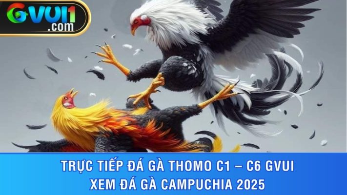 đá gà Thomo C1 – C6 GVUI